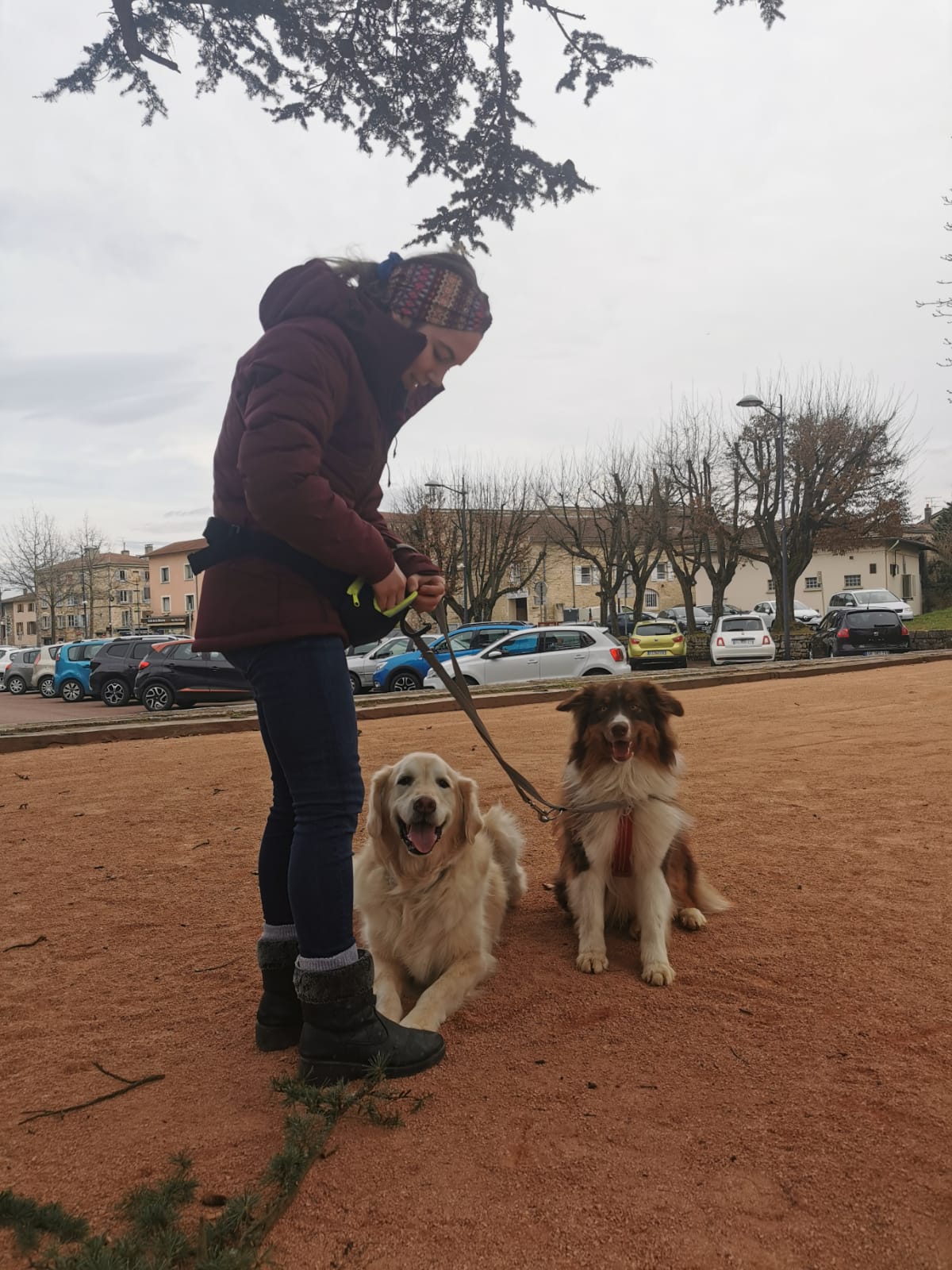 éducation et dressage de chiens Savoie