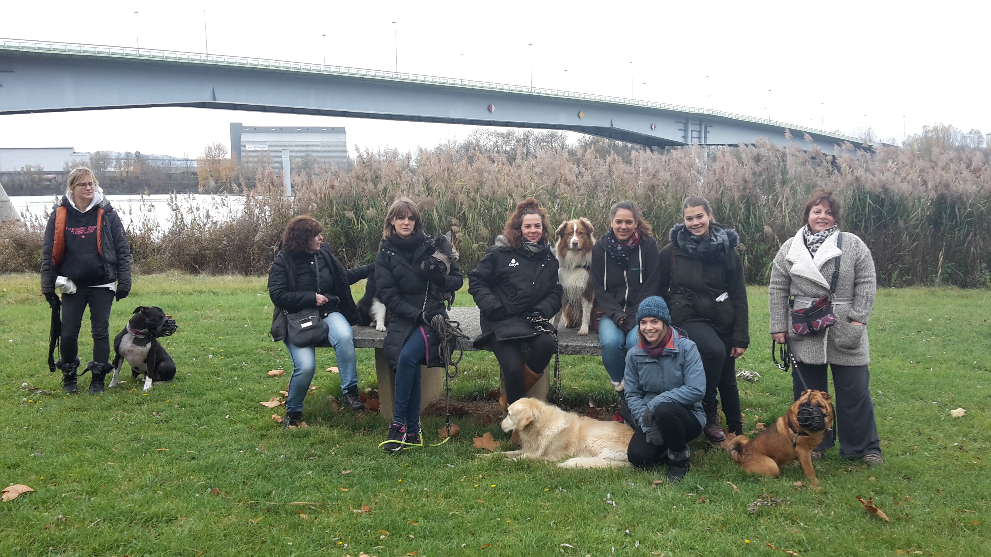 éducation et dressage de chiens Savoie