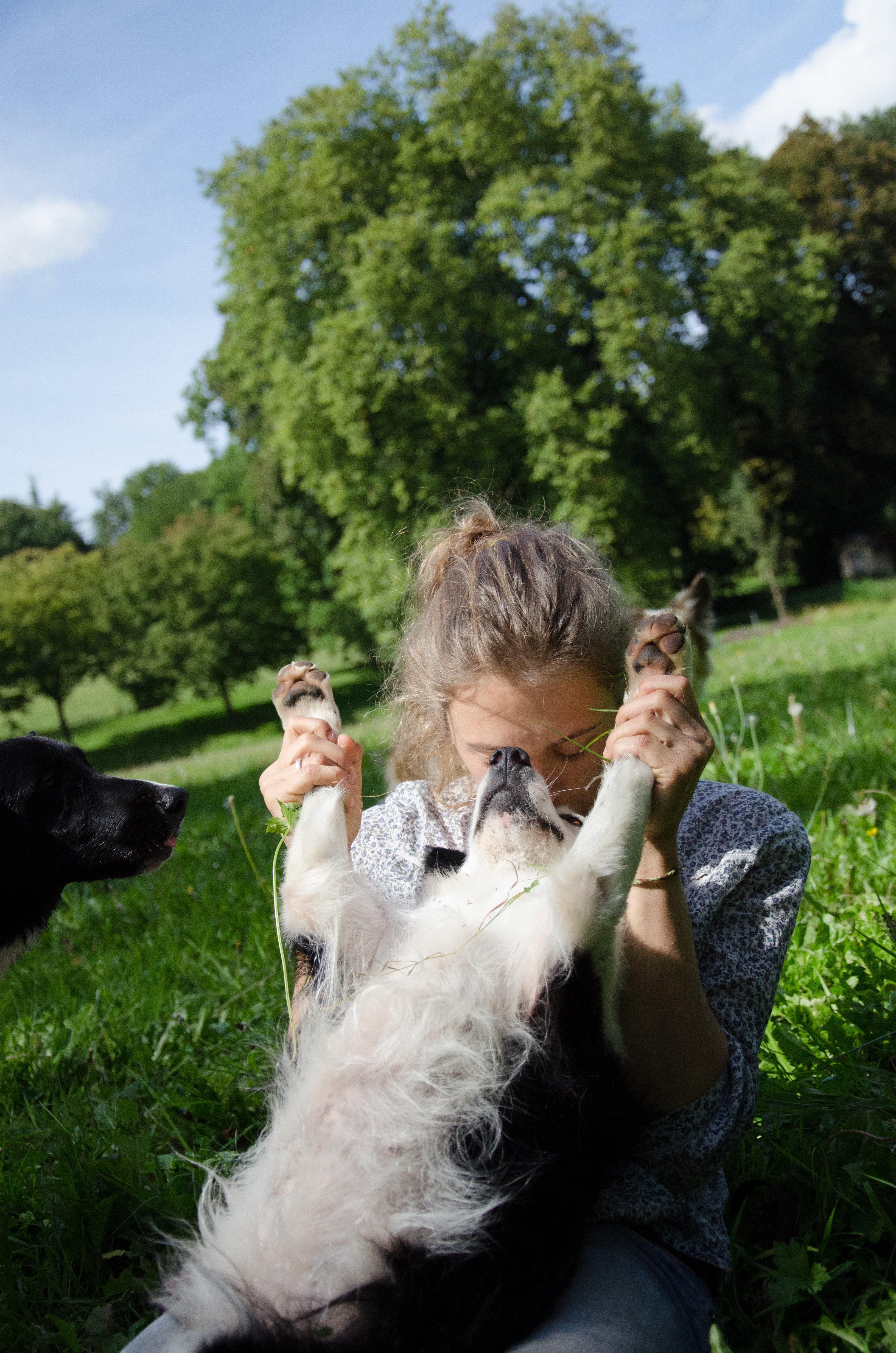 éducation et dressage de chiens Savoie