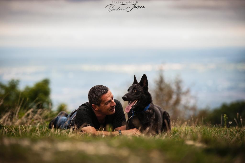 éducation chien