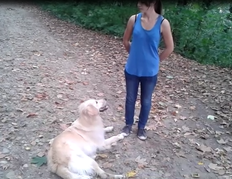 éducation et dressage de chiens Savoie