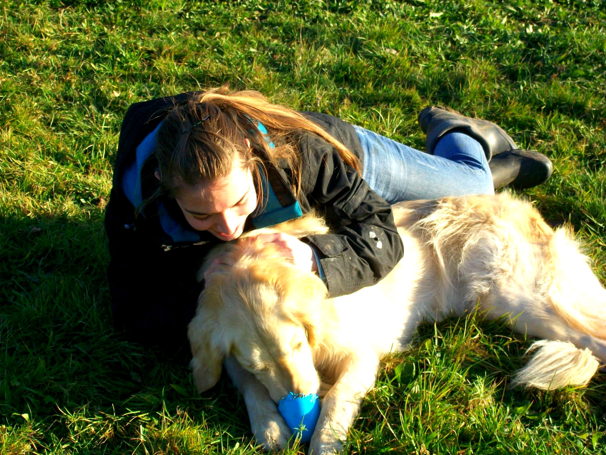 éducation et dressage de chiens Savoie