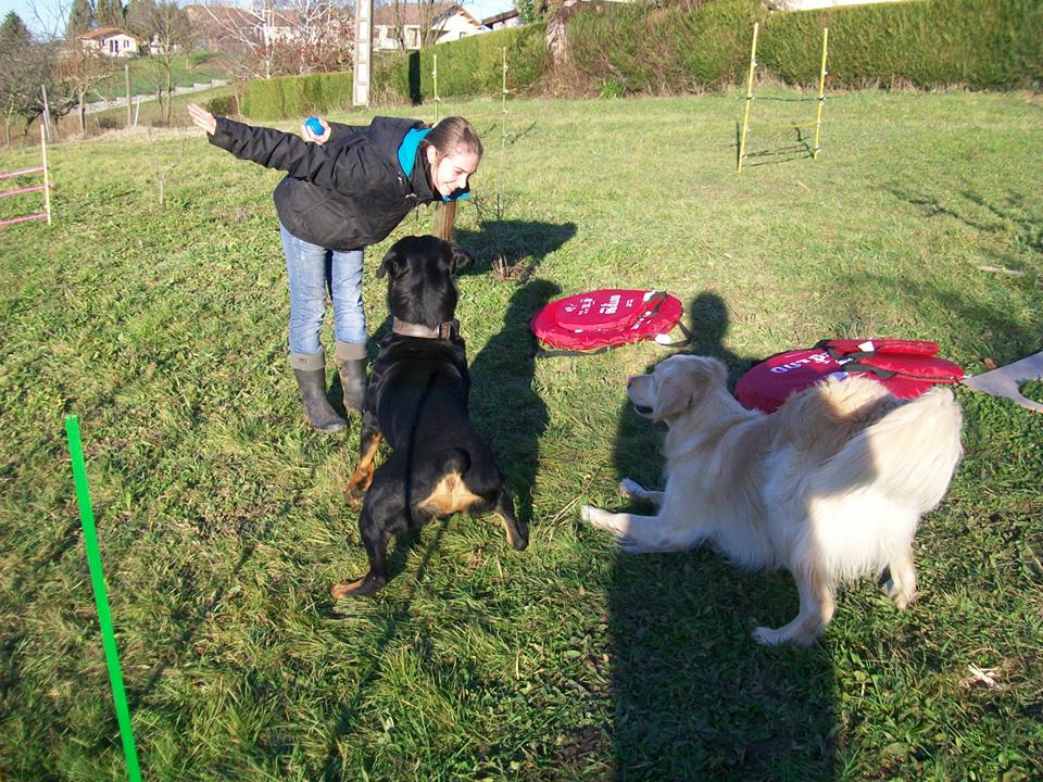 éducation et dressage de chiens Savoie